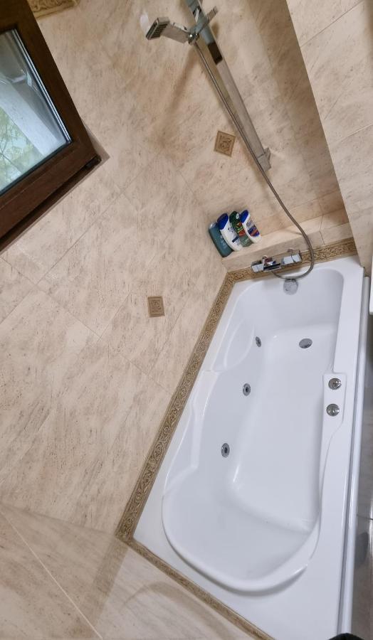 יאשי Stone Bridge Apartment מראה חיצוני תמונה